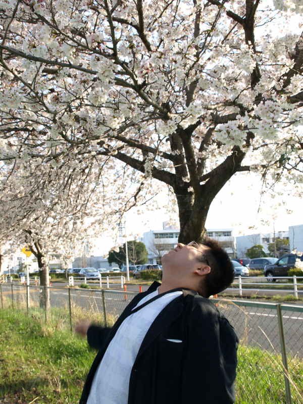 桜がきれい